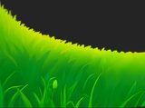 Img_1of3_Bg_Grass__2.png