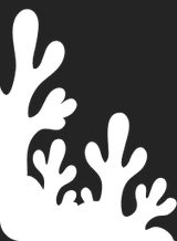 Img_Shop_Attendance_Seaweeds_Deco__1.png