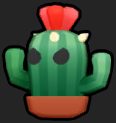Face_CH2_Cactus__2.png