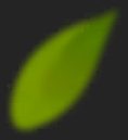 Img_Leaf_V02__2.png