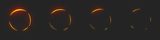Shockwave_-_Orange__1.png