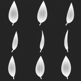 leaf_3x3__13.png