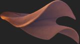 Title_Cactus_cape__116.png